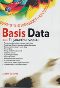 basis data dalam tinjuan konseptual
