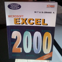 microsoft excel 2000