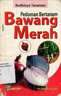 Pedoman Bertanam Bawang Merah